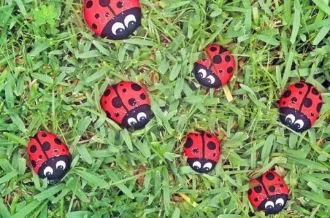 painted rocks camping activity