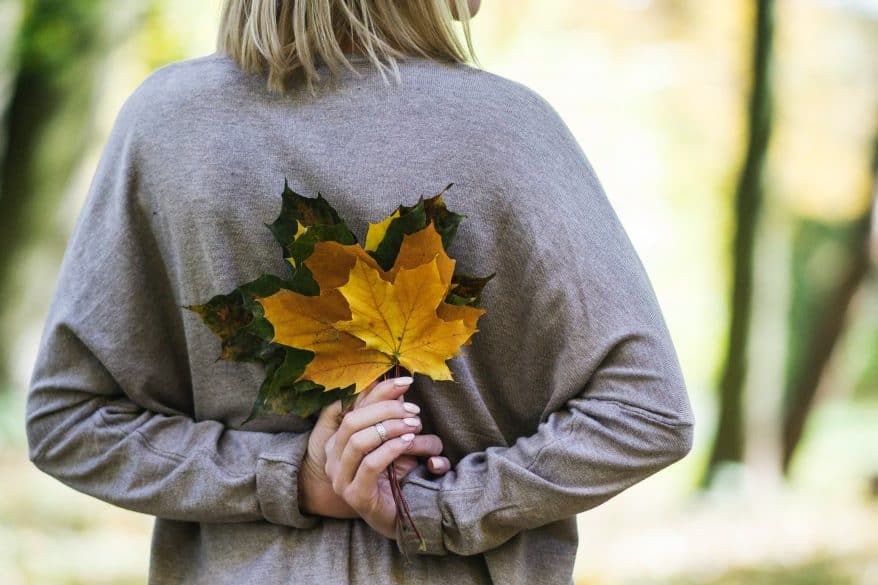 fall is the time to get your yard ready for winter
