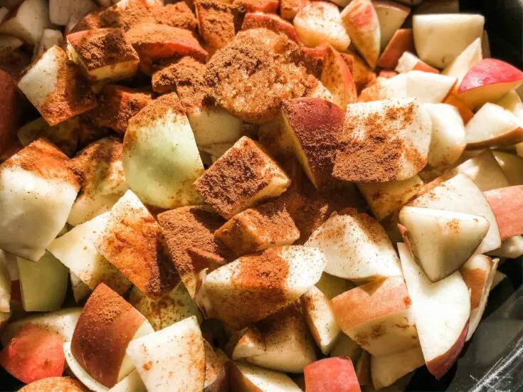 https://www.organizedmom.net/wp-content/uploads/2021/01/apples-in-crock-pot-scaled-735x551.jpg.webp