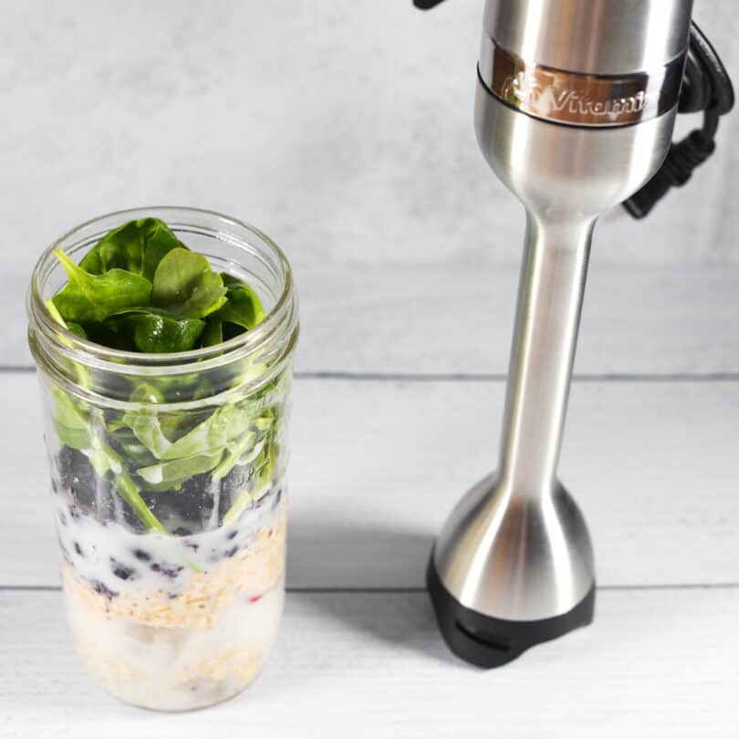 Vitamix Immersion Blender {Review & Recipes} The Organized Mom