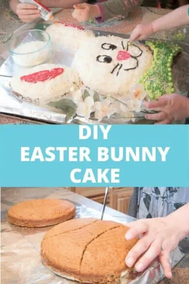 diy easter bunny cake round pans