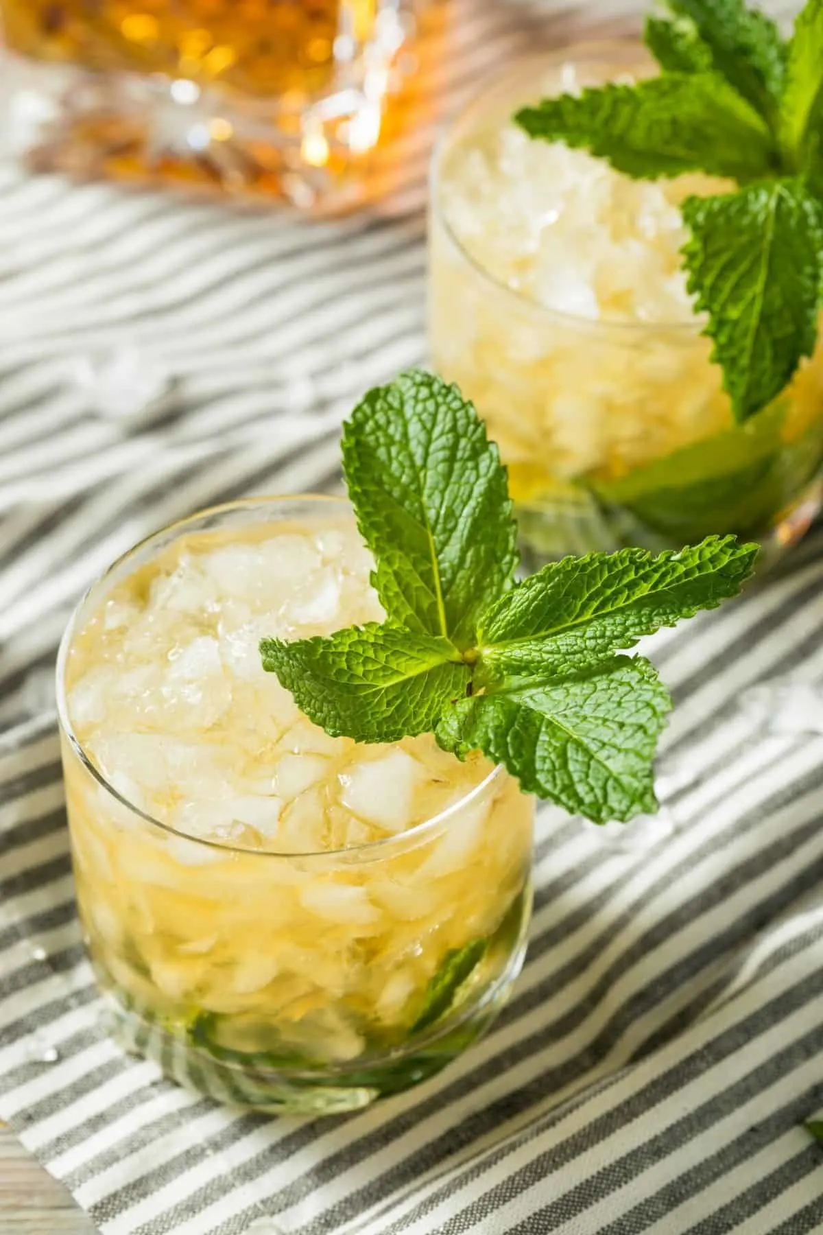 kentucky derby mint julep