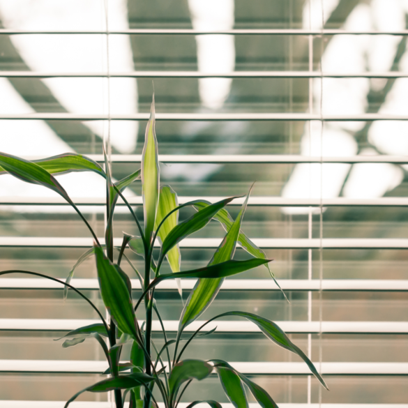 how to clean blinds