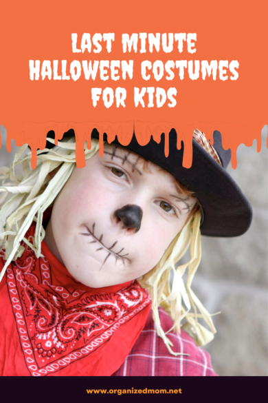 Last Minute Halloween Costumes For Kids - The Organized Mom