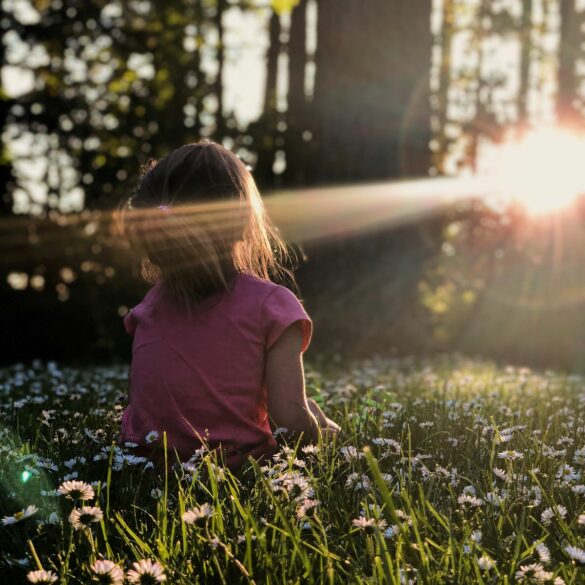 sunshine through the trees; outside activities for toddlers