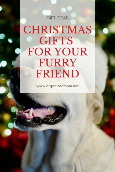 Dog Christmas gifts your furry friend will love - Tractive