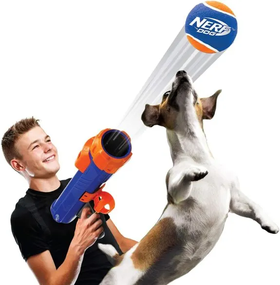 Boy using Nerf Dog Tennis Ball Blaster with a dog.