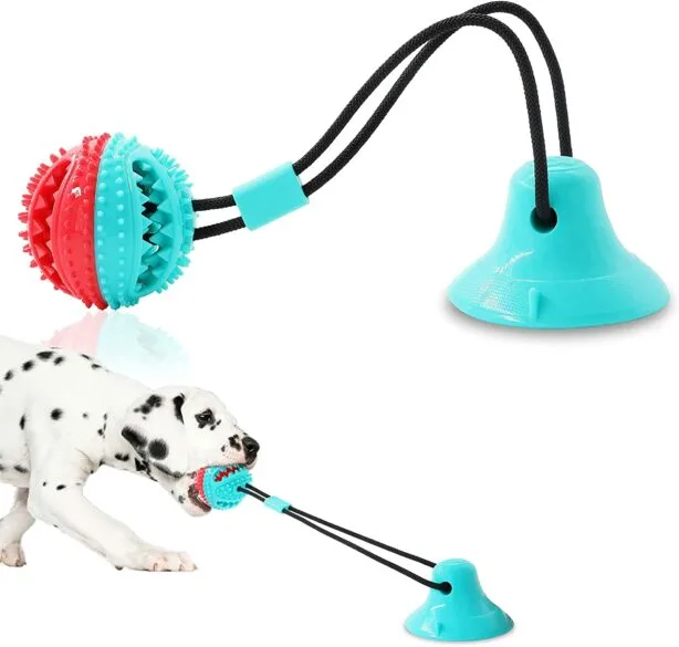 Dog playing with a ball on a rope that is attached to a suction cup.