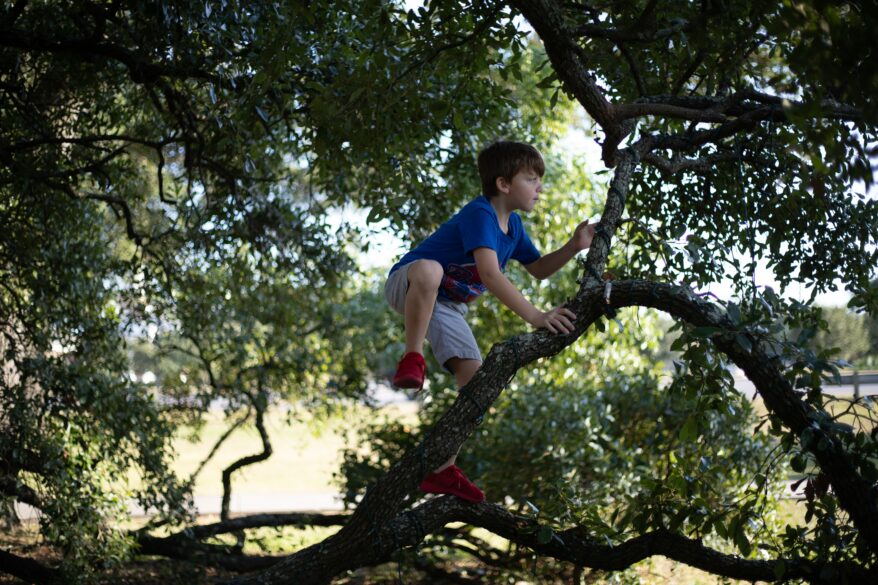 Boy climbing a tree.