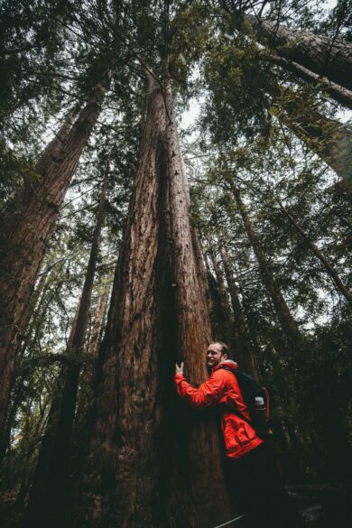 A man hugging a tree.