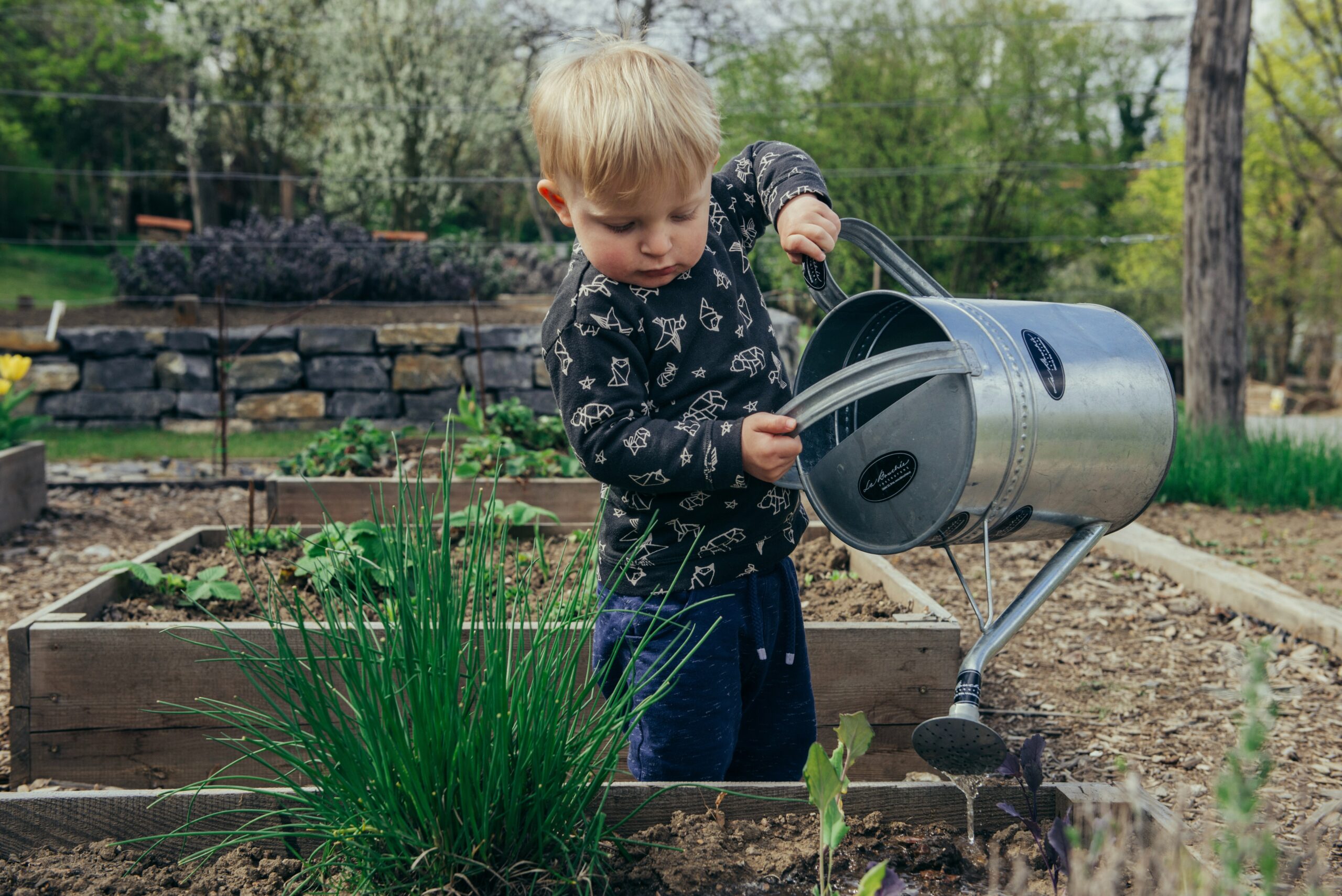  Stanley Jr. Wheelbarrow : Patio, Lawn & Garden