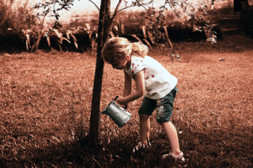 A young girl watering a tree.