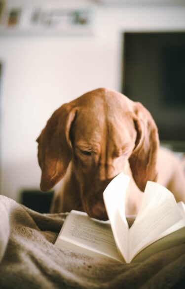 A dog looking at a page of a book.