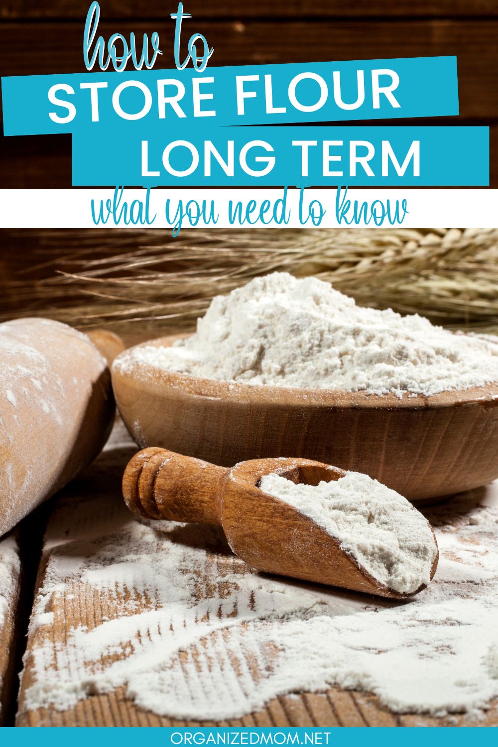 How to Store Flour Long Term The Organized Mom