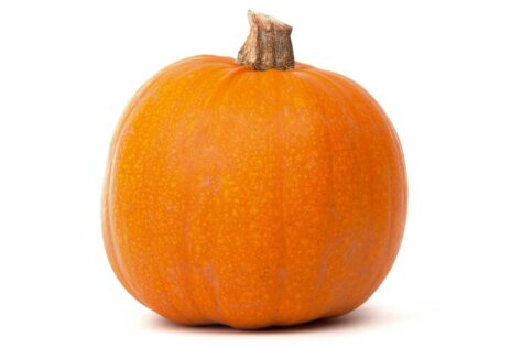 pumpkin; thankfulness and giving