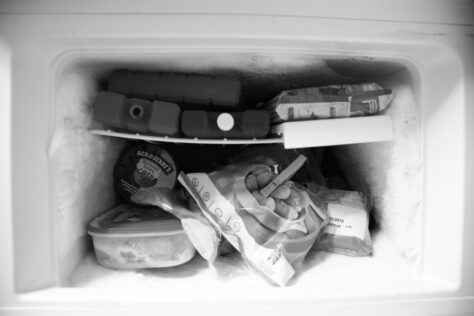 freezer; Fridge and Freezer Organized