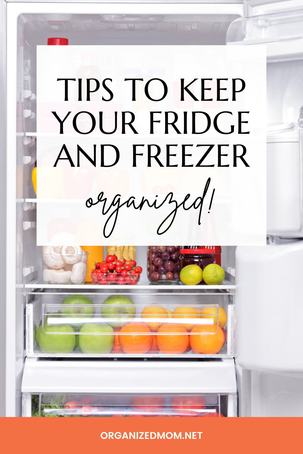 Tips to Keep Your Fridge and Freezer Organized The Organized Mom