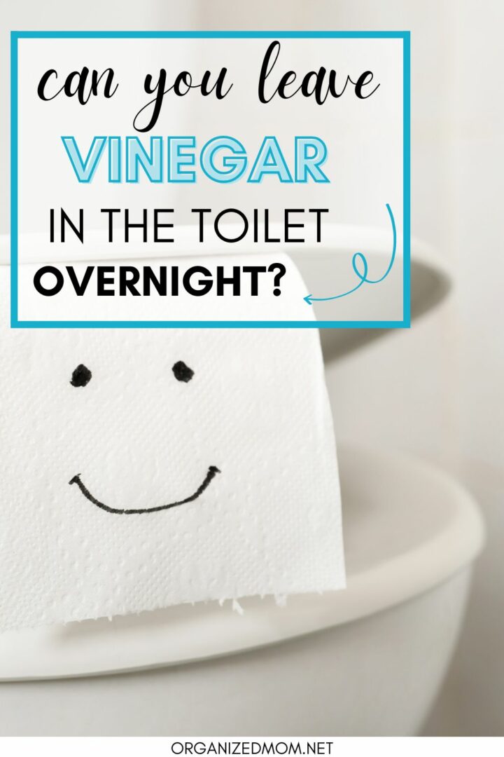 Can I Leave Vinegar In Toilet Overnight? The Organized Mom