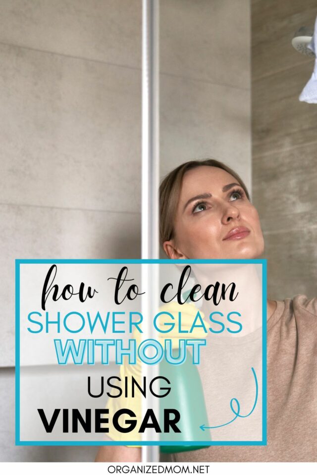 How To Clean Shower Glass Without Vinegar The Organized Mom
