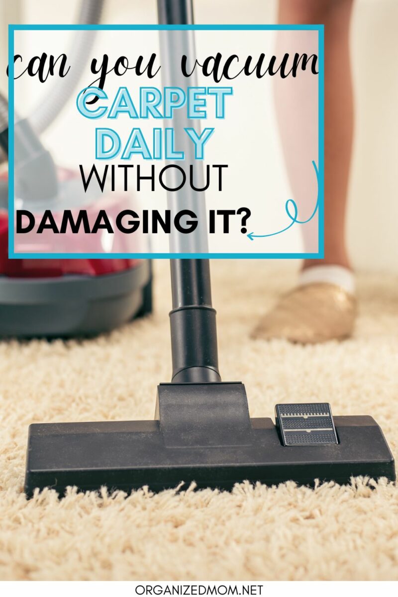 Is It OK To Vacuum Carpet Every Day? The Organized Mom