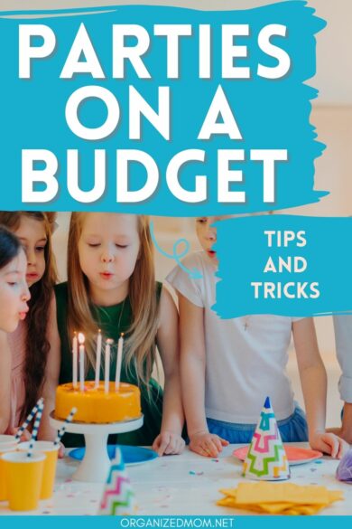 pinterest pin about themed parties on a budget