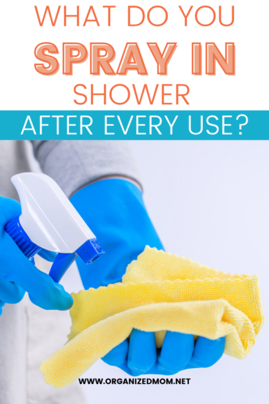 How to Clean Glass Shower Doors - The Organized Mom