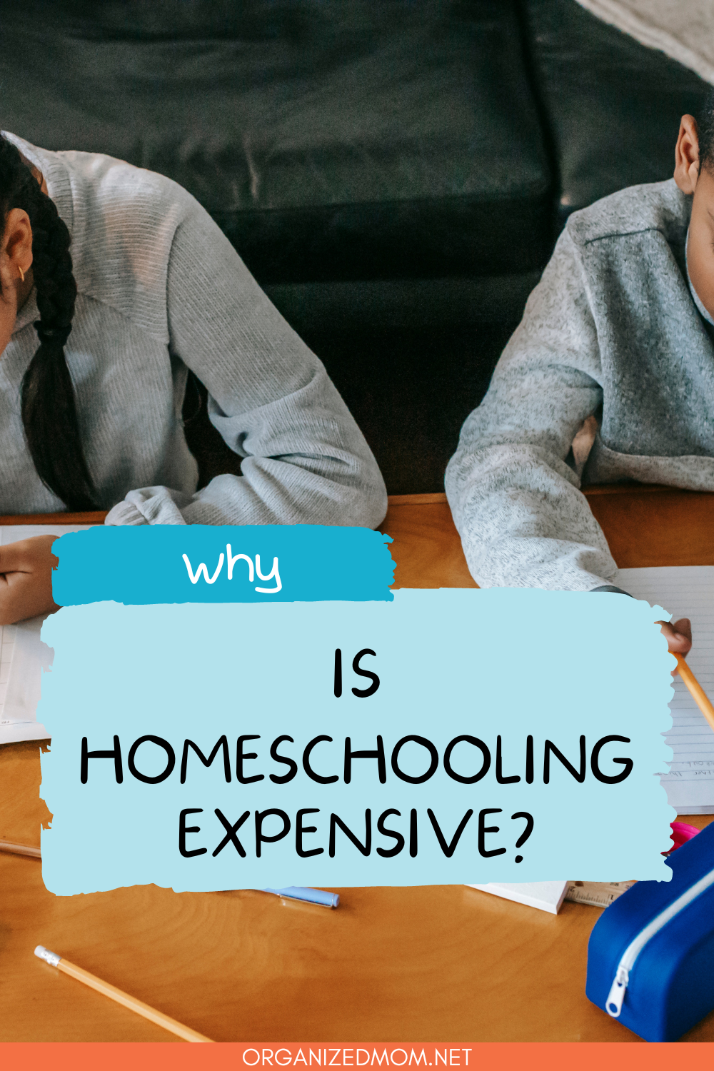 Why Is Homeschooling Expensive? The Organized Mom