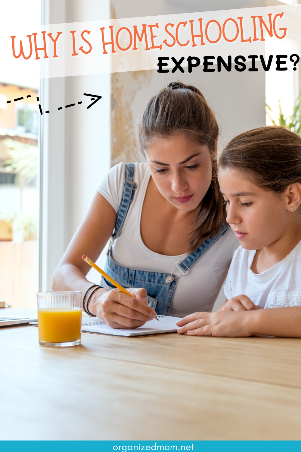 Why Is Homeschooling Expensive? The Organized Mom