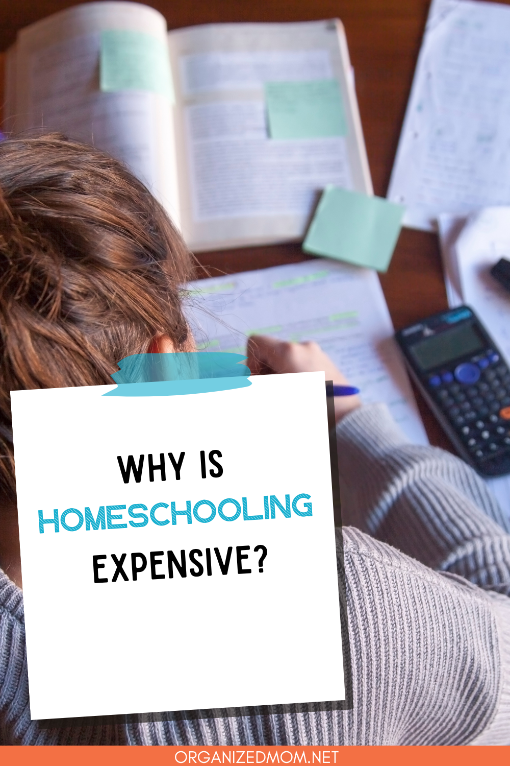 Why Is Homeschooling Expensive? The Organized Mom
