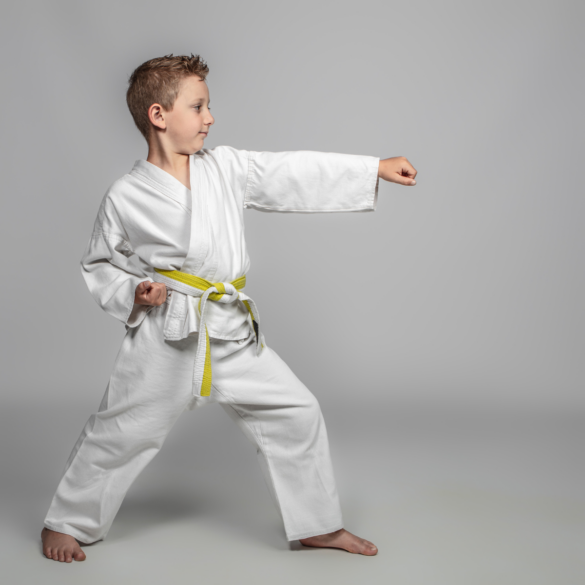 kid doing martial arts; homeschool curriculum