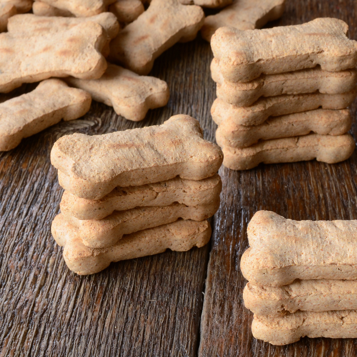 Custom Dog Treat Mold Jumbo Dog Biscuit Silicone Mold With Your Pup's Name  