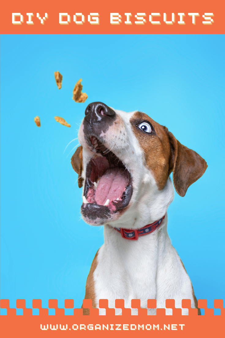 DIY Dog Biscuits The Organized Mom