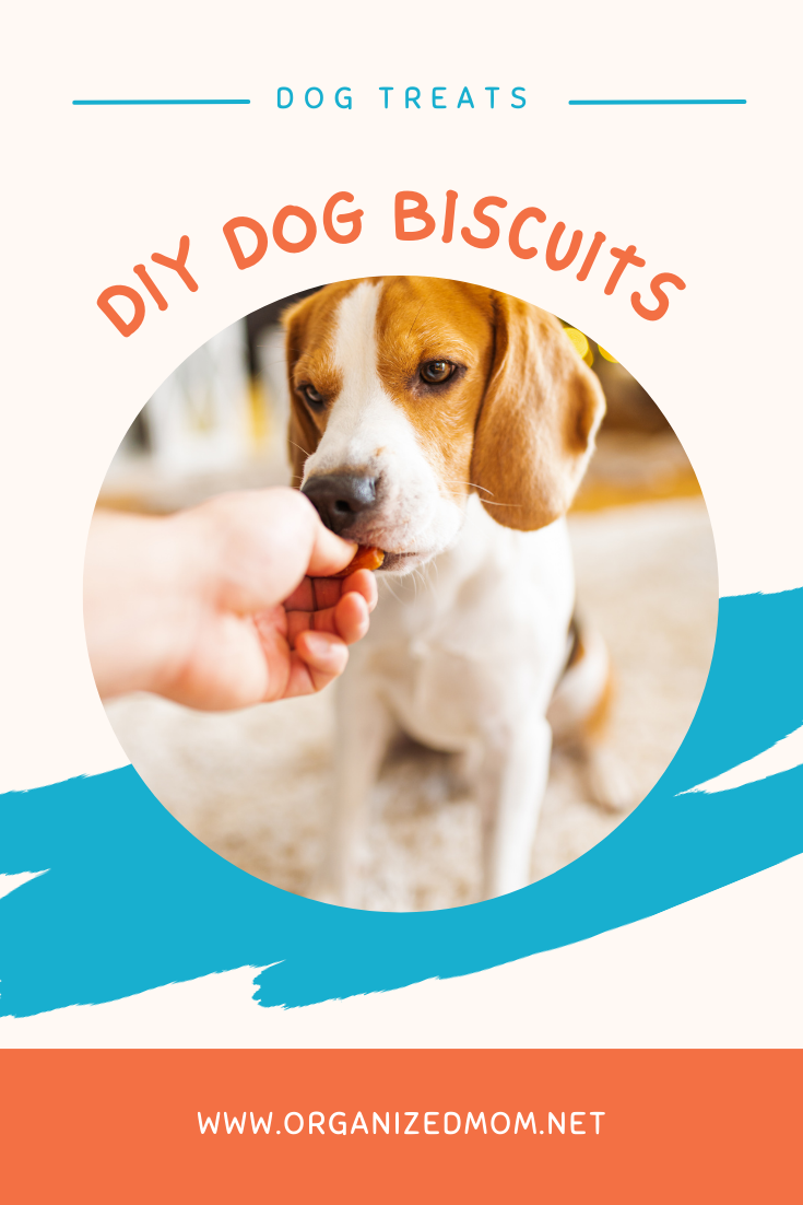 DIY Dog Biscuits The Organized Mom