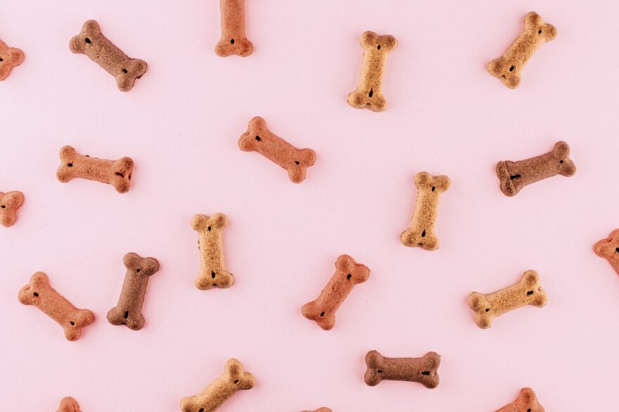 Dog bone shaped biscuits scattered around.