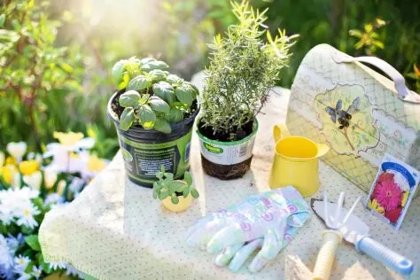 plants and garden tools for a Themed Easter Basket