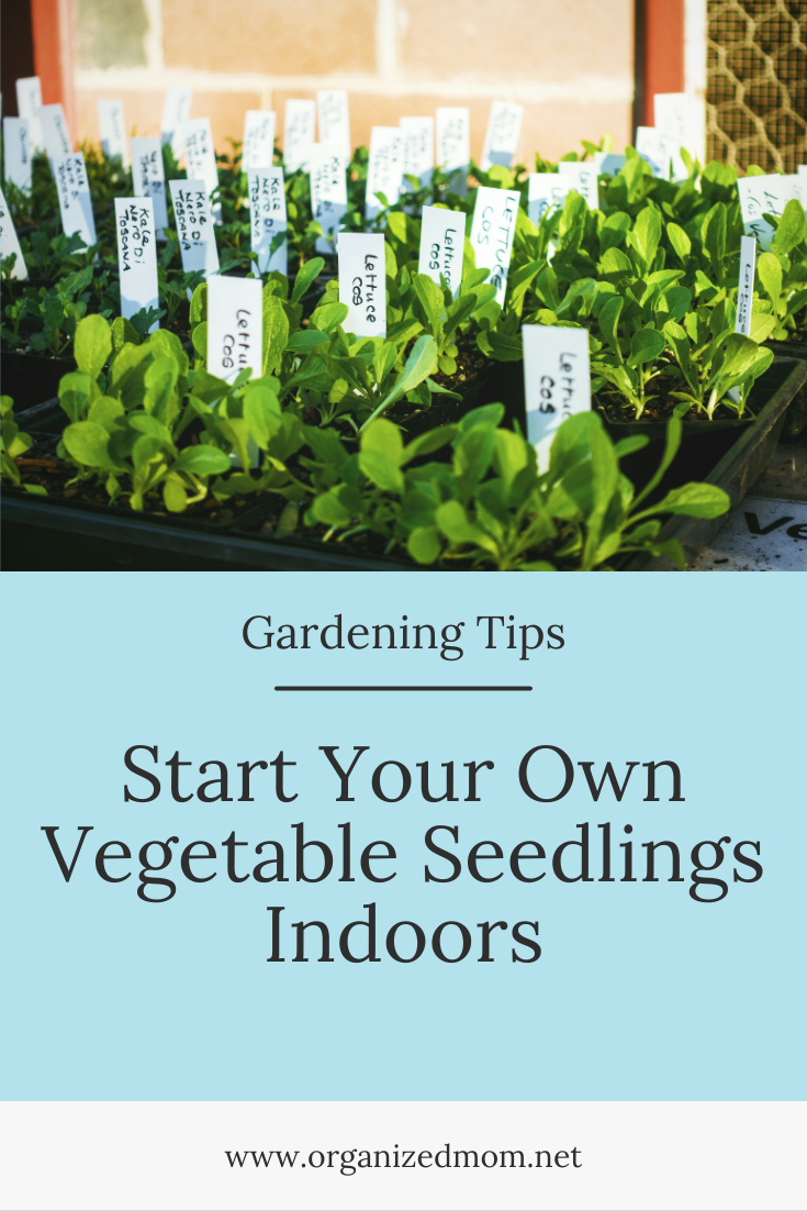 Start Your Own Vegetable Seedlings Indoors – The Organized Mom
