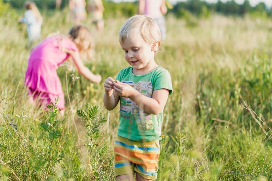 Children in a field. Six Fun DIY Summer Activities