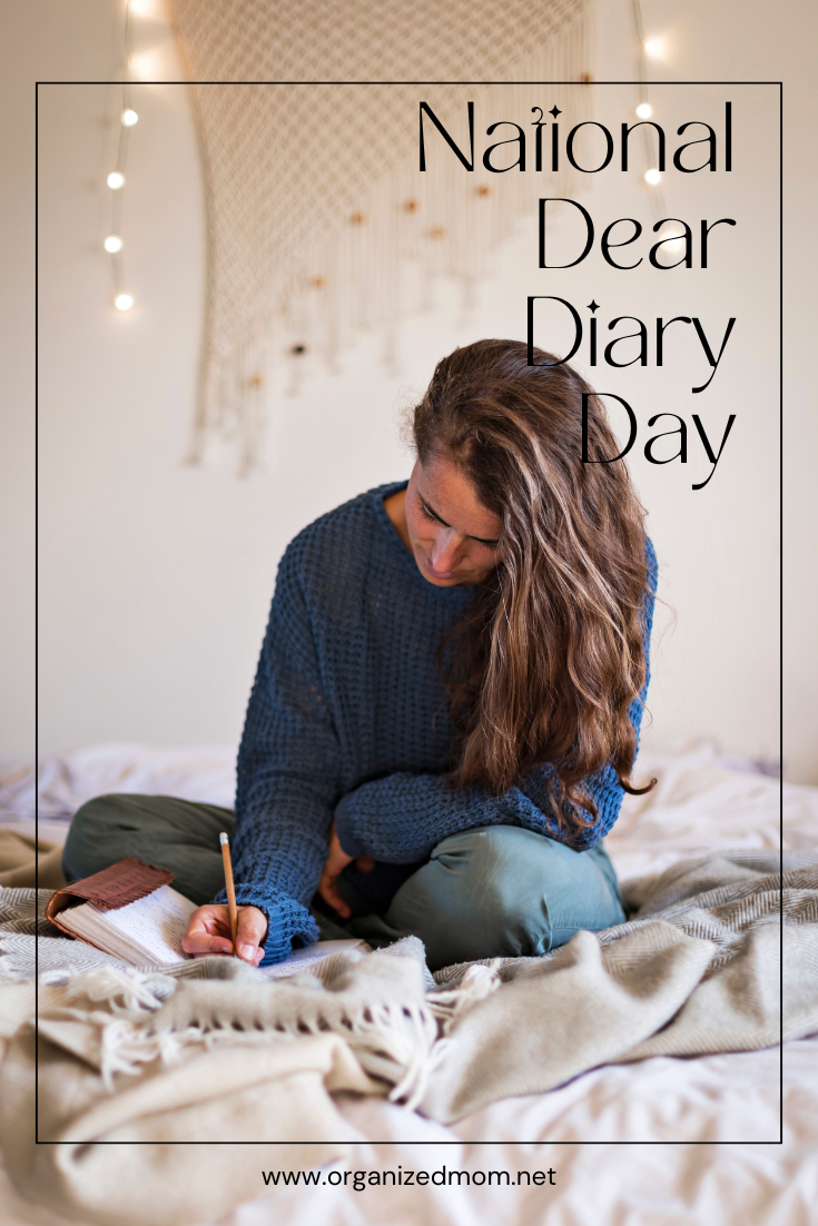 National dear diary day the organized mom