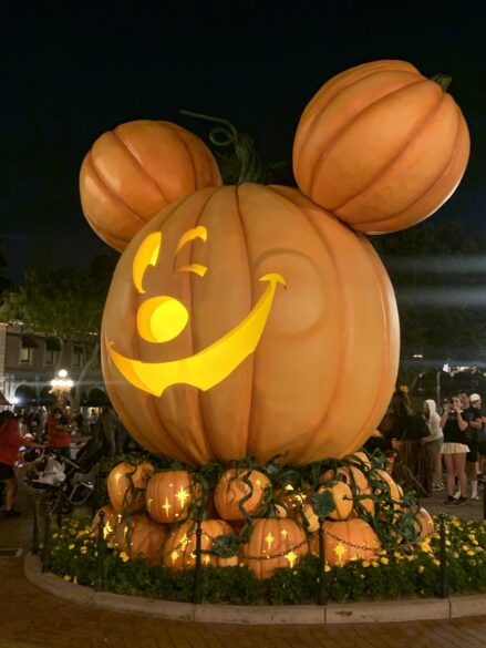 The large Mickey head made from pumpkins at Disneyland.