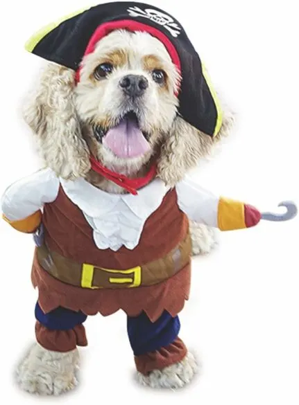 A dog wearing a pirate costume.