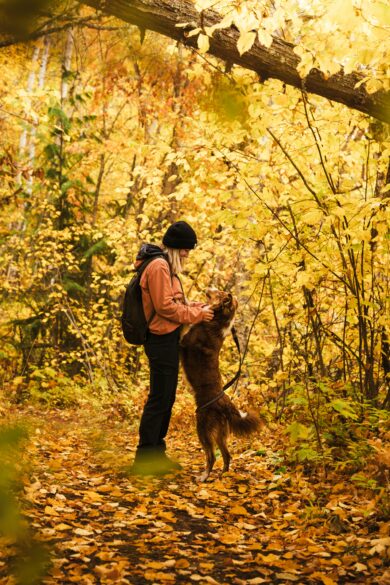 A lady standing with a dog in the woods with leaves everywhere.